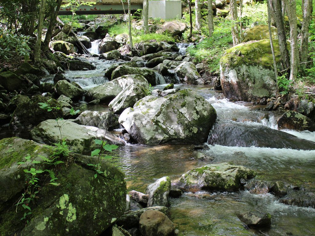 54 acres in NC mountains! That creek is superb! Circa 1900. $299,000 ...