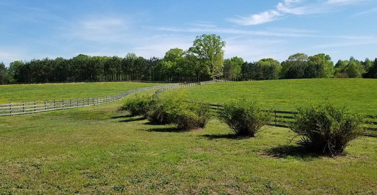 Two homes on 60 acres in Virginia. Circa 1890. $549,000 – The Old House ...