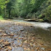 That creek! 14 acres in North Carolina. Circa 1910. $299,000 - The Old ...