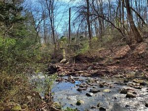 Has a waterfall! 15 acres in Virginia. “Drain’s Family Farm”, Circa ...