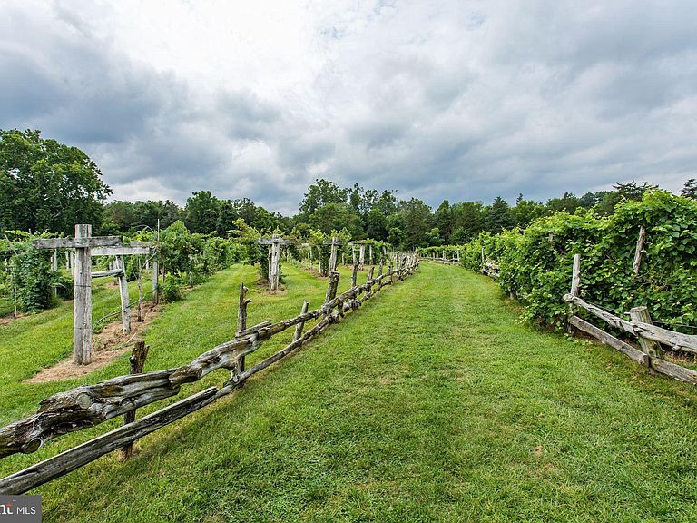 Wisteria Farm and Vineyard announces new ownership, Business