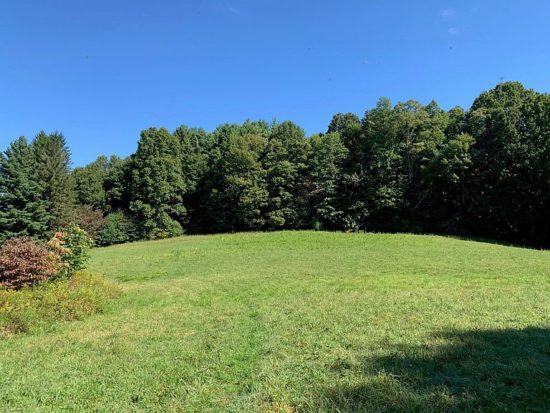 The Fowler Farm, Circa 1920. On 50 acres in West Virginia. Old cemetery ...