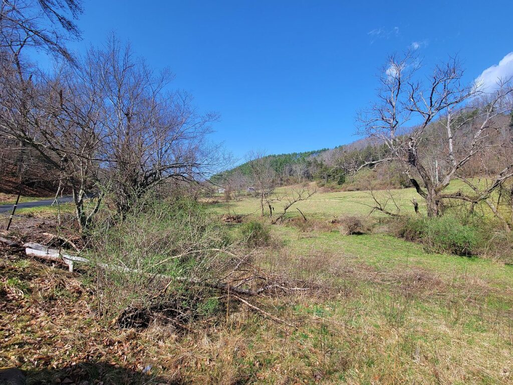 Stoney Creek Farm, Circa 1940. On 25 acres in West Virginia. 125,000