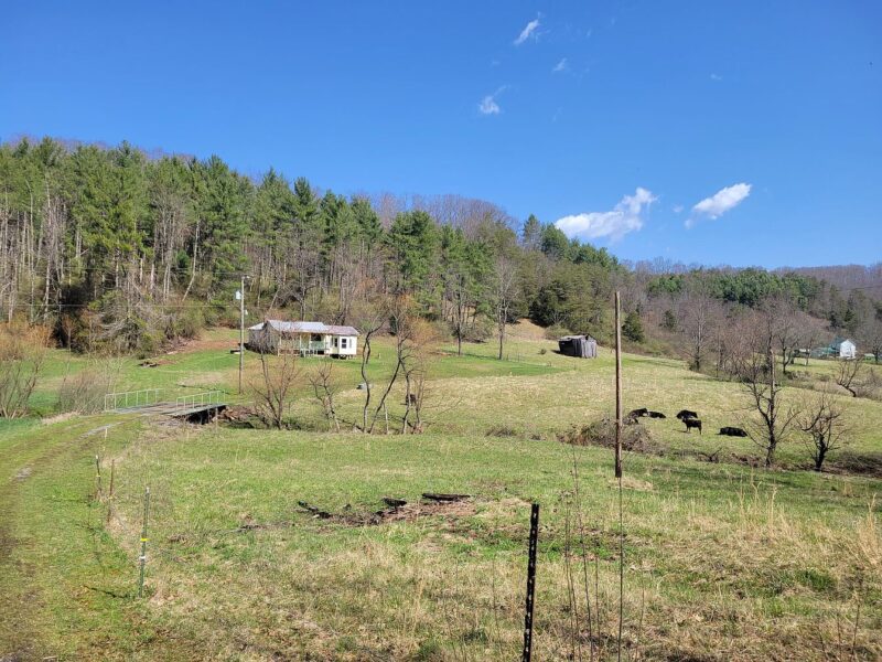 Stoney Creek Farm, Circa 1940. On 25 acres in West Virginia. 125,000