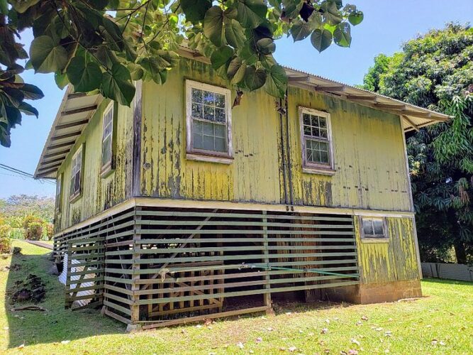 Hawaii time! Circa 1942 in Laupahoehoe, Hawaii. 365,000 The Old