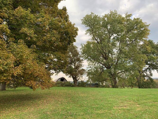 Sold for 148,500. Deal of the Day! Two acres overlooking the