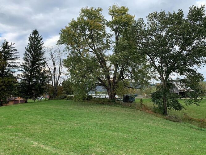 Sold for 148,500. Deal of the Day! Two acres overlooking the