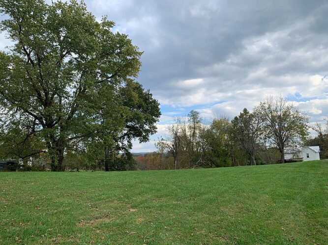 Sold for 148,500. Deal of the Day! Two acres overlooking the