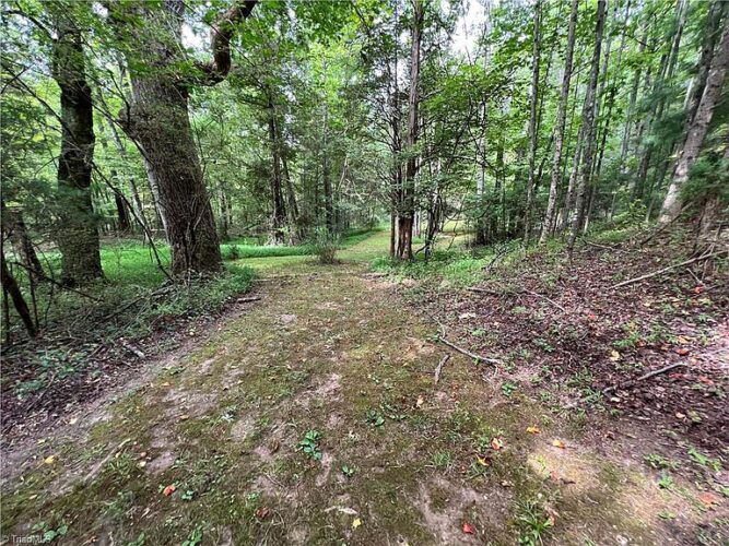 Two acres with a pond in NC. Near Hanging Rock! Circa 1942. 239,900