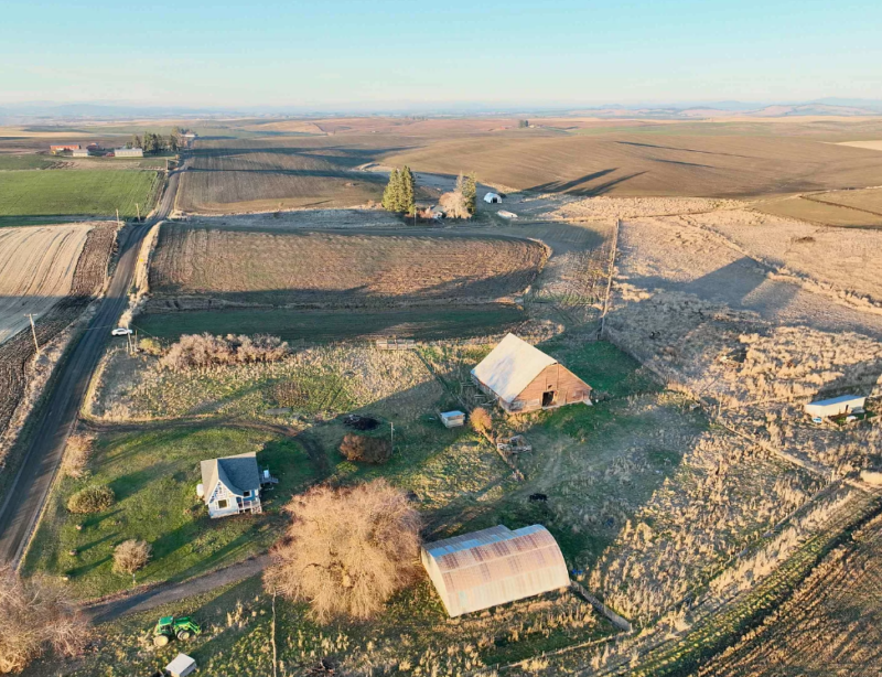 On 24 Acres In Idaho Cute House And Outbuildings 460 000 The Old   Screenshot 2024 01 06 091853 800x614 